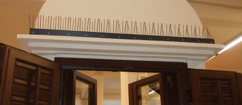 Dissuasori Per Piccioni In Acciaio Inox - Spuntoni Anti Uccelli 25 Cm (10 Pezzi) Per Tetto, Balcone, Recinzione, Davanzali, Umano Ed Efficace